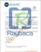 الصين Raybaca IOT Technology Co.,Ltd الشهادات
